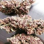 Profile Picture of W  E  E  D   A  H  W  A  Z (@alex_weed_ahwaz96) on Instagram