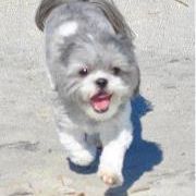 Profile Picture of Kim Bethea (@kimbojo15) on Pinterest