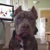 Profile Picture of Patrick Simon (@patrick.simon.777701) on Facebook