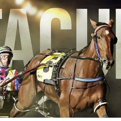 Profile Picture of Michael Stanley (@mickstanley80) on Twitter