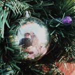 Profile Picture of maddy rose (@maddy.schenk) on Instagram