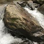 Profile Picture of Travis Crocker (@traviscrocker) on Instagram