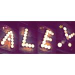 Profile Picture of Αλέξανδρος Μιχος (@alex_mixos) on Instagram