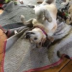 Profile Picture of Amanda Garland Balaski (@amandagbalaski) on Instagram