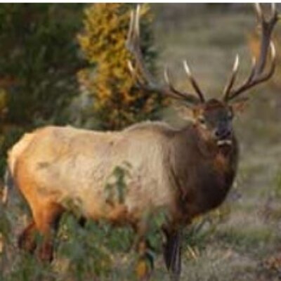 Profile Picture of Jonathan Mullen (@not_jon_mullen) on Twitter