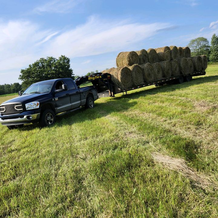 Profile Picture of randyfarr142 (@randyfarr142) on Tiktok