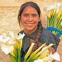 Profile Picture of Alice Matus (@alicematus) on Pinterest