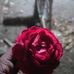 Profile Picture of Anjila Singh (@anjila.singh.3979489) on Facebook