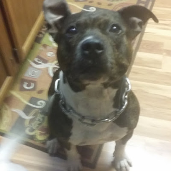 Profile Picture of Amy Wardlow (@amyszmansky) on Poshmark