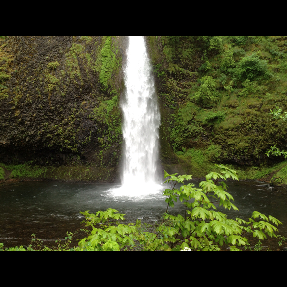 Profile Picture of Janet Howell (@ibananut) on Poshmark