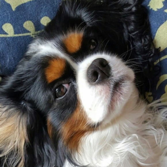 Profile Picture of Michael Gainey (@michael_gainey) on Poshmark