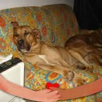 Profile Picture of Tamara Gerace (@tamara.gerace) on Facebook