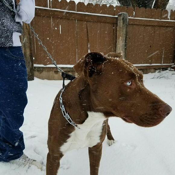 Profile Picture of Nathan Portfolios (@youngnation707) on Poshmark