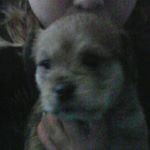 Profile Picture of Amber kellner (@kellneramber) on Instagram