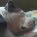 Profile Picture of Toby Lambert (@toby.lambert.965) on Facebook