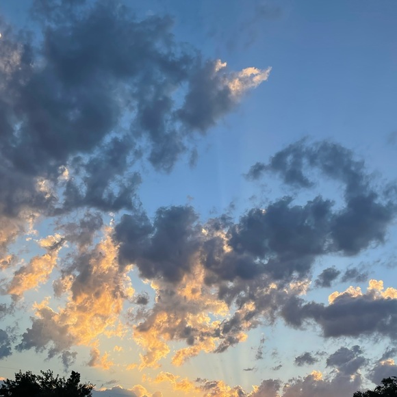 Profile Picture of Brianna Velarde (@briannavelarde) on Poshmark