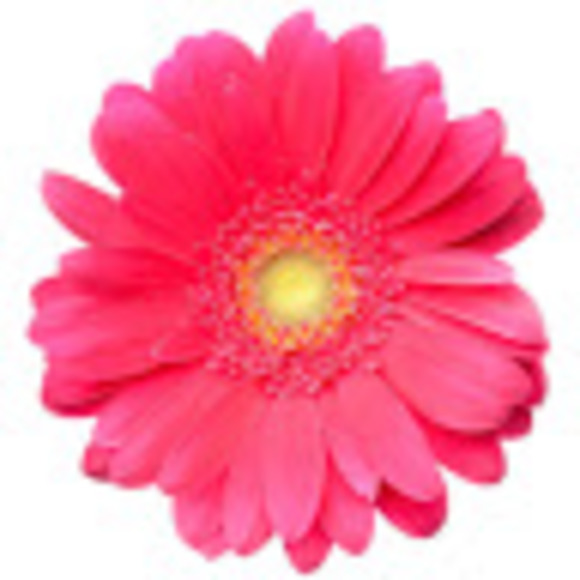 Profile Picture of Catherine Colton (@catherinecol601) on Poshmark