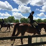 Profile Picture of Amy Keene (@keene9157) on Instagram