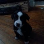 Profile Picture of Gabe Arnold (@gabber.arnold.21609) on Instagram