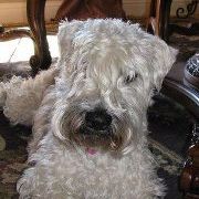 Profile Picture of Janey Martin (@janeymartin) on Pinterest