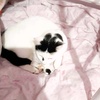 Profile Picture of Garry Murdoch (@@garrymurdoch0) on Tiktok
