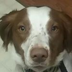 Profile Picture of Corbin Erickson (@psychicgrenade) on Instagram