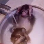 Profile Picture of Robert Lafont (Titi) (@robert.lafont.35) on Facebook