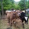 Profile Picture of Chuck Springer (@@user6748679858282) on Tiktok