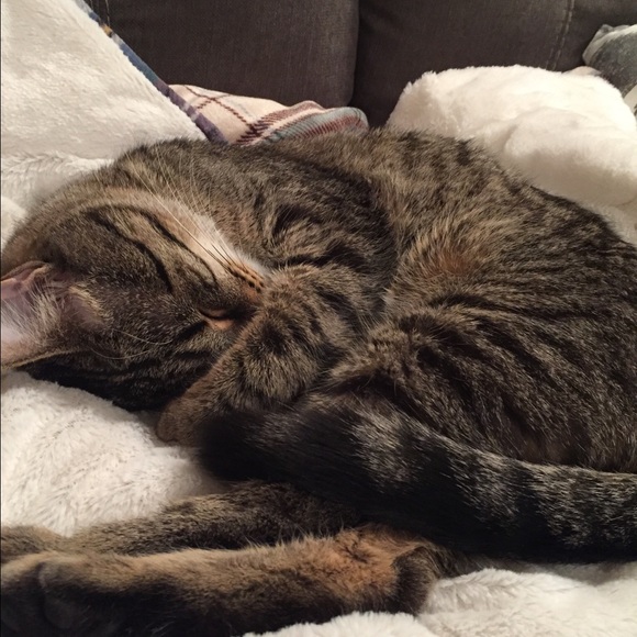 Profile Picture of Erica Hjelle (@hjelleem) on Poshmark