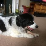 Profile Picture of Joan Lambert (@joanlambert6135) on Instagram