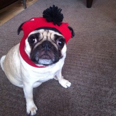Profile Picture of Chris Schallon Twitter