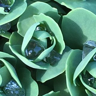 Profile Picture of Jodie C. Palmieri (@jcmpalmieri) on Facebook