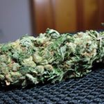 Profile Picture of Joseph Fiasconaro (@617_dst_lil_crazy) on Instagram