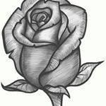 Profile Picture of Elissa Boyd (@elissaboyd1972) on Instagram