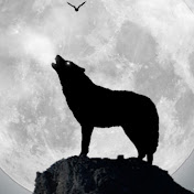 Profile Picture of Hugo Benavides (@HugoBenavides-f9m) on Youtube