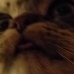 Profile Picture of Bryan (@jacobsonbc) on Instagram