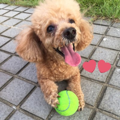 Profile Picture of Nancy Tsai (@Nancytsai11) on Twitter