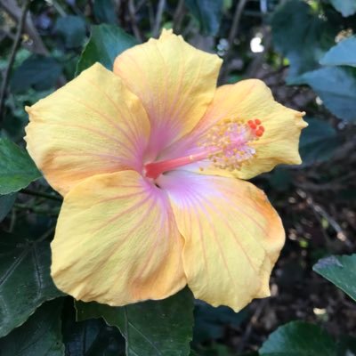Profile Picture of Zachary Gibson (@lil_giby) on Twitter