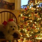 Profile Picture of Elaine Sweet-Rutter (@elaine.sweetrutter) on Instagram