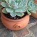 Profile Picture of Arthur Hawkes (@arthur.hawkes.311) on Facebook