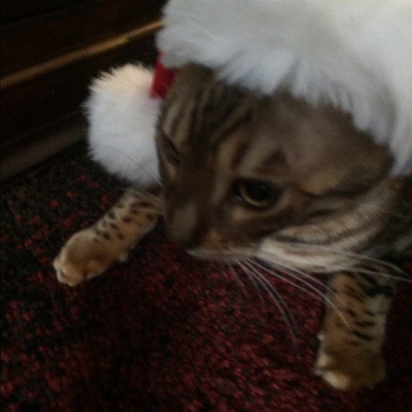 Profile Picture of Carol Mayher (@jmayher) on Poshmark