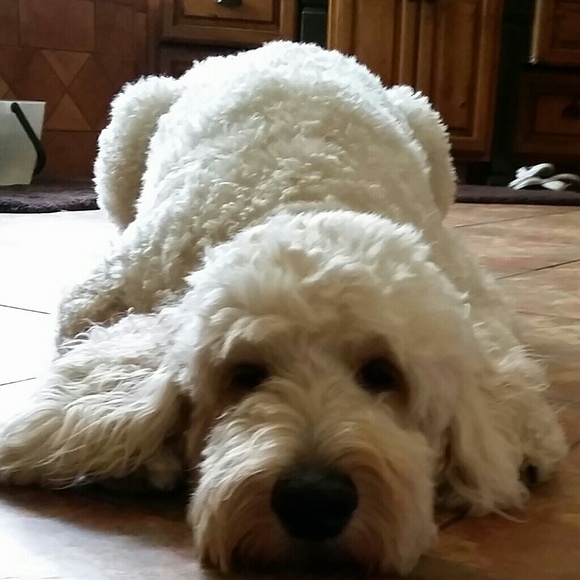 Profile Picture of Mary Prator (@mprataz) on Poshmark