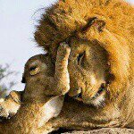 Profile Picture of minanaqshbandya (@samina.shah) on Instagram