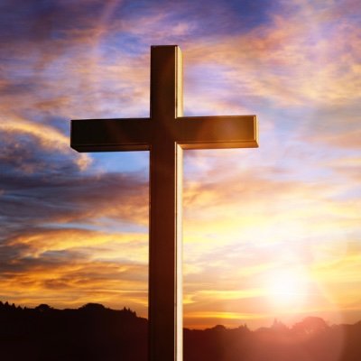 Profile Picture of Violet Jenkins (@VioletJenkins16) on Twitter