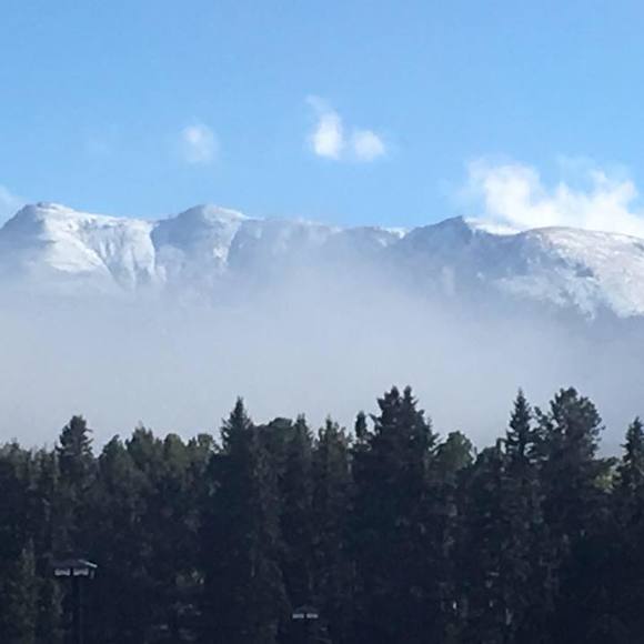 Profile Picture of Debbie Bartell-chrisco (@dlccreations) on Poshmark