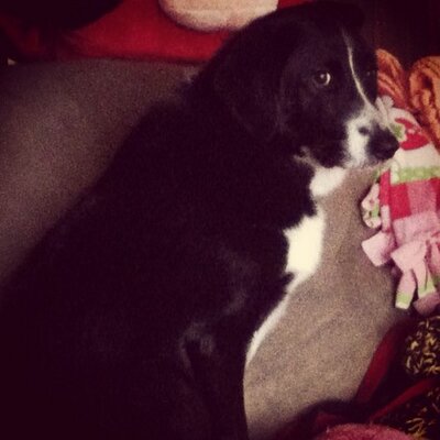Profile Picture of Michele Rahm (@MicheleRahm) on Twitter