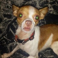 Profile Picture of Brian Scurlock (@brian-scurlock-2) on Quora