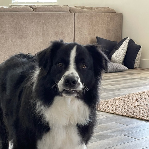 Profile Picture of Misty Summers (@mistysummers286) on Poshmark