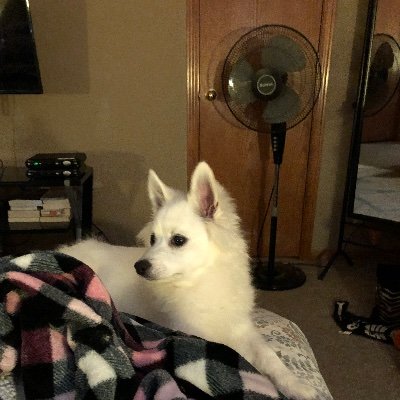 Profile Picture of Chris Winfrey (@ChrisWinfrey7) on Twitter