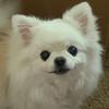 Profile Picture of Linda Lacey (@@lacey_l0) on Tiktok